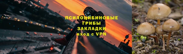 кокс Абаза