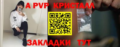 прущие грибы Можга