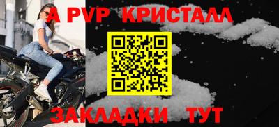прущие грибы Можга