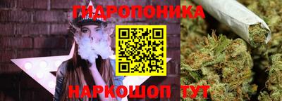 ПСИЛОЦИБИНОВЫЕ ГРИБЫ Аргун