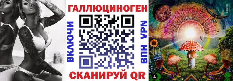 Галлюциногенные грибы Psilocybine cubensis Прокопьевск