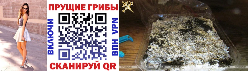 Псилоцибиновые грибы GOLDEN TEACHER купить наркоту Прокопьевск
