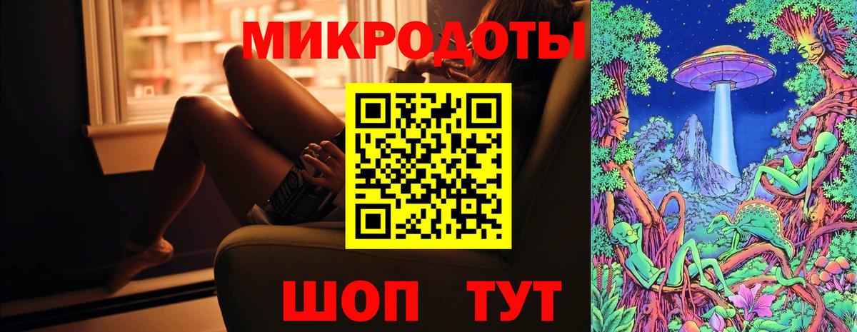 Псилоцибиновые грибы Psilocybine cubensis Прокопьевск