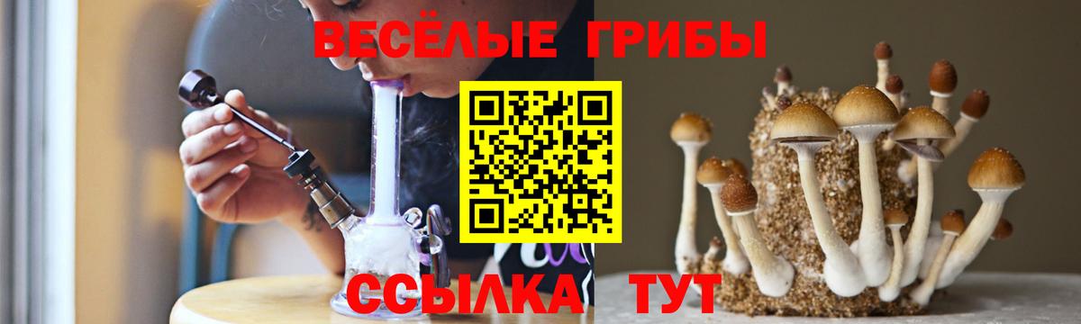 Галлюциногенные грибы ЛСД  Вход с VPN  Прокопьевск  Псилоцибиновые грибы Magic Shrooms 